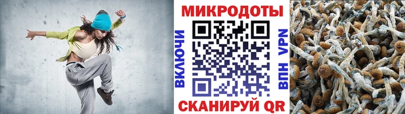 Купить закладки  Луга  Псилоцибиновые грибы Psilocybine cubensis 